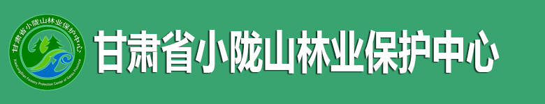 甘肃省小陇山林业保护中心官方网站手机版