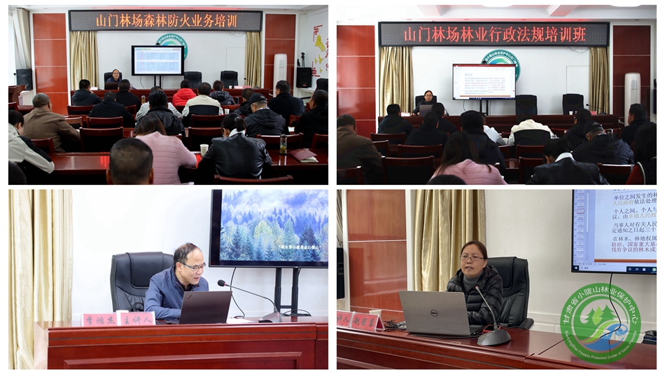 山门林场举办综合能力业务提升培训班 - 山门林场 - 甘肃省小陇山林业保护中心官方网站