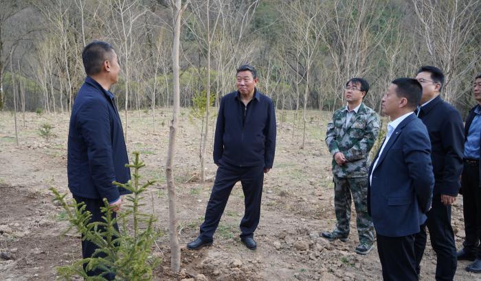 马越垠深入百花、党川调研党建联建工作