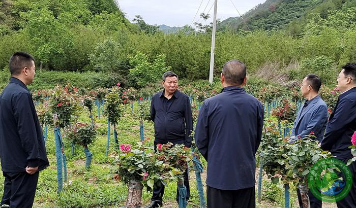马越垠深入林区调研指导工作