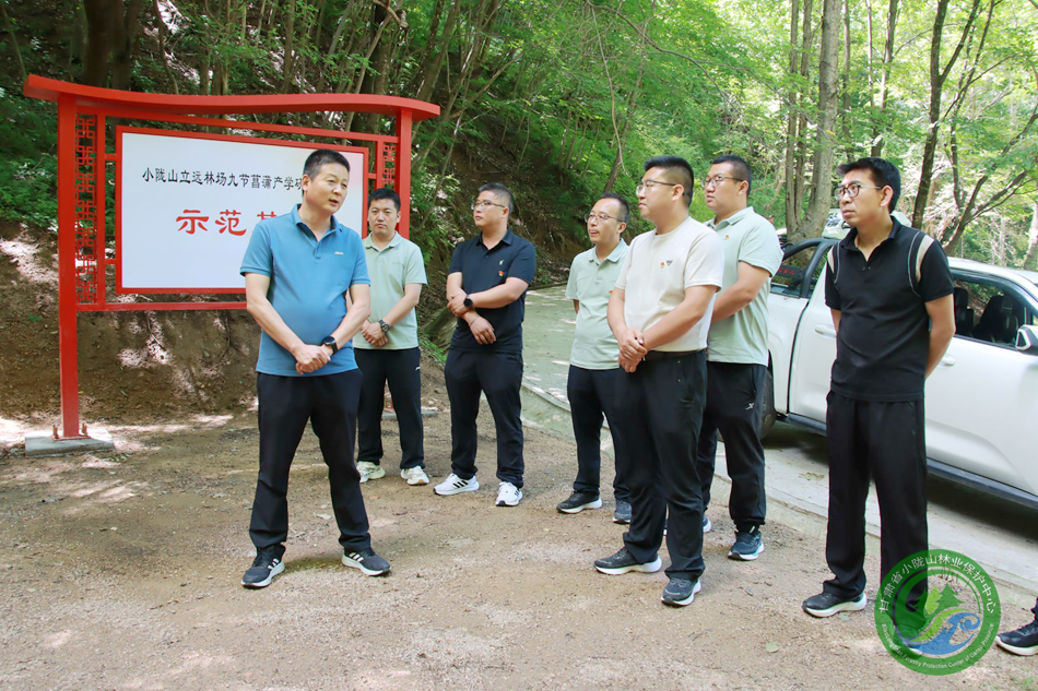 观摩学习拓思路 交流借鉴促提升——山门林场组织党员骨干开展观摩学习 - 山门林场 - 甘肃省小陇山林业保护中心官方网站