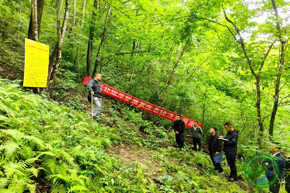 探寻高质量发展“密码”森林变课堂 理论促实操---麻沿林场组织人员参加“森林课堂”培训 - 麻沿林场 - 甘肃省小陇山林业保护中心官方网站