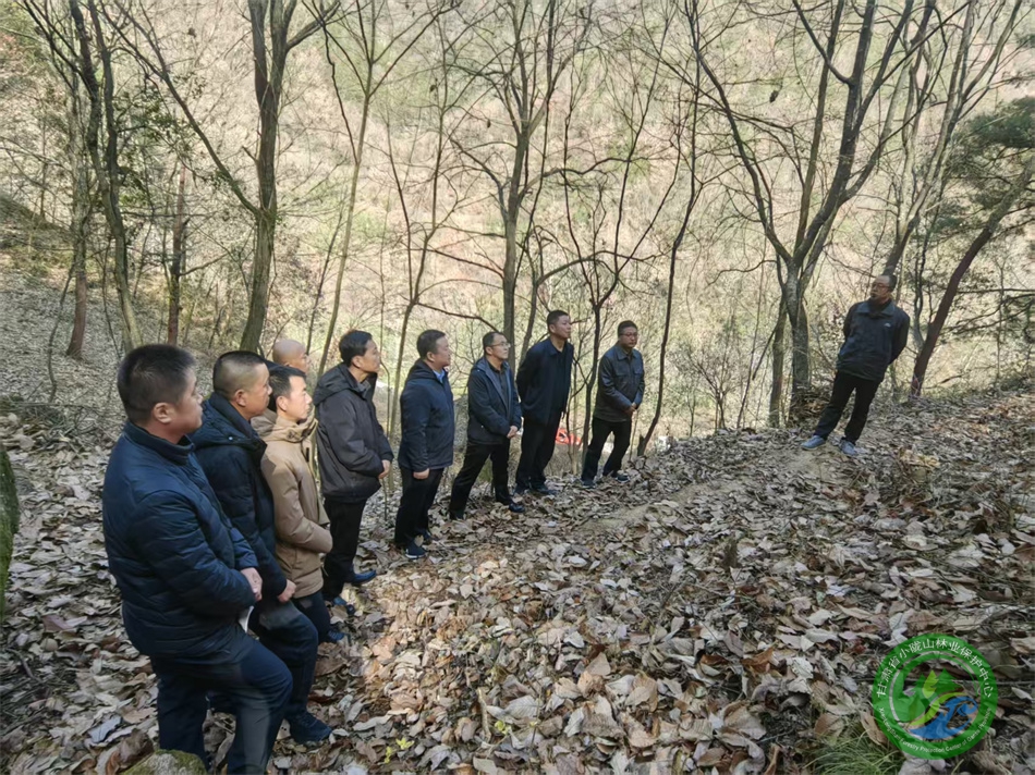 强化专业技术培训 精准提升森林质量 - 黑虎林场 - 甘肃省小陇山林业保护中心官方网站