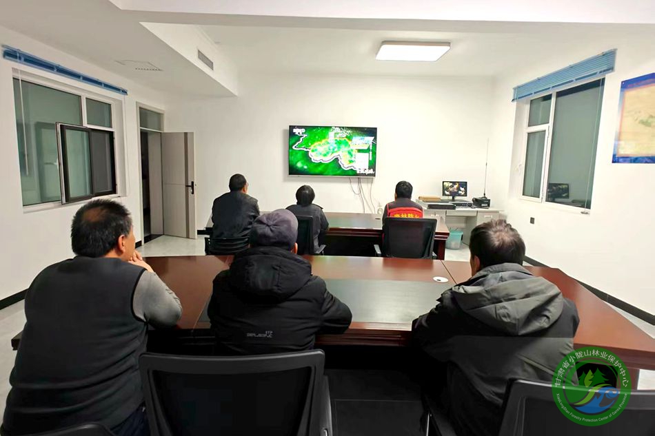 深学林下经济发展经验 共绘绿色振兴新蓝图——龙门林场组织收看《自然中国-林下万物生-林海交响》专题节目 - 龙门林场 - 甘肃省小陇山林业保护 ...