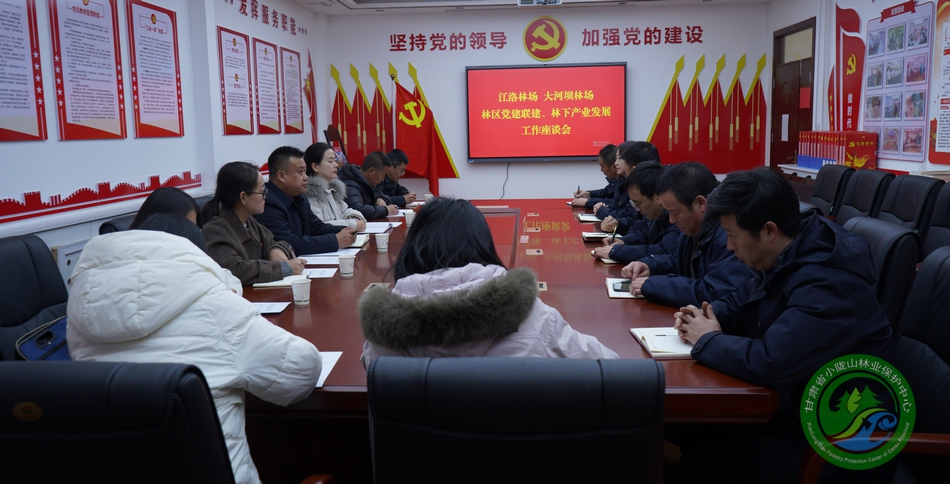 互学互鉴促提升 林业同心谋发展——大河坝林场赴江洛林场开展观摩学习交流 - 江洛林场 - 甘肃省小陇山林业保护中心官方网站