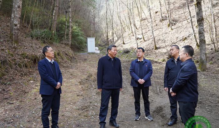 马越垠在百花、东岔林场调研