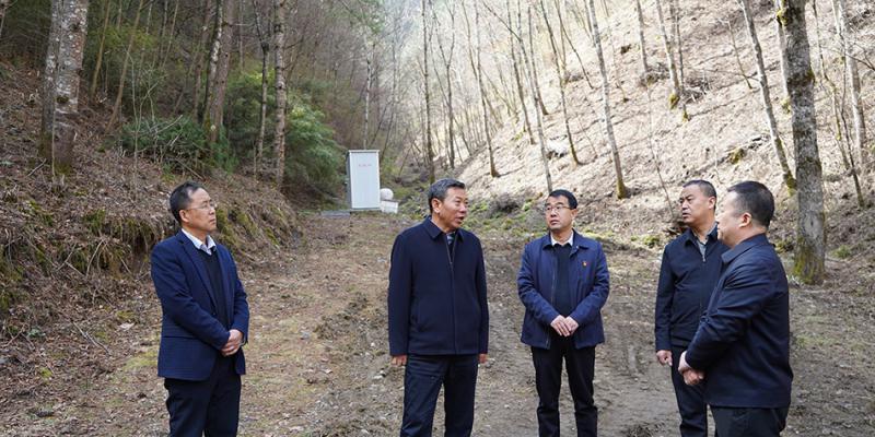 马越垠在百花、东岔林场调研