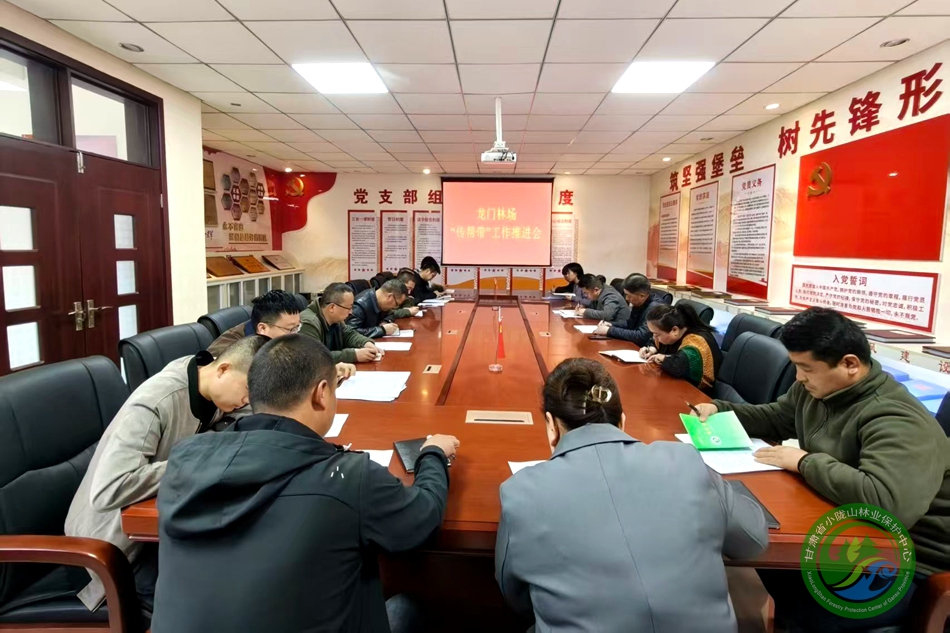 龙门林场召开“传帮带”工作推进会 - 龙门林场 - 甘肃省小陇山林业保护中心官方网站