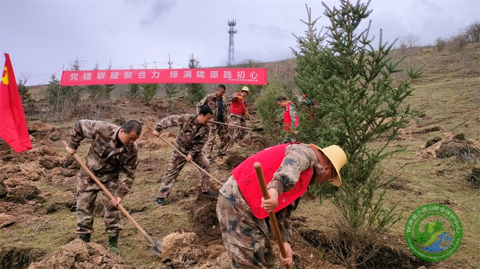党建联建聚合力 绿满陇原践初心 - 黑虎林场 - 甘肃省小陇山林业保护中心官方网站
