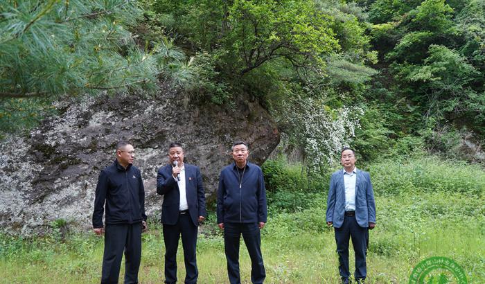 马越垠在麦积植物园调研