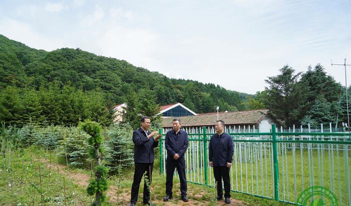 马越垠在林科所、李子林场调研