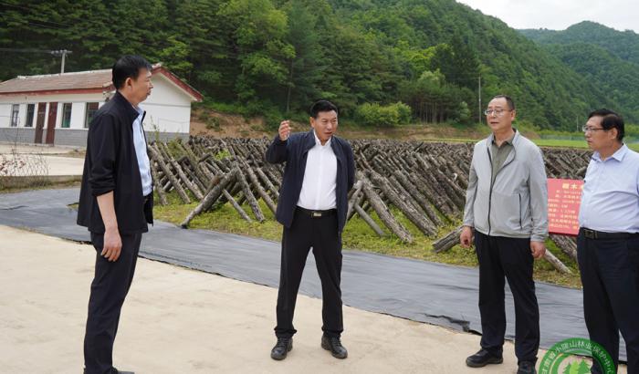 马越垠在山门林场调研