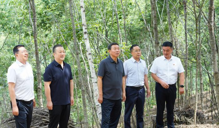马越垠在高桥林场调研