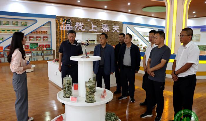 马越垠在洮坪林场调研